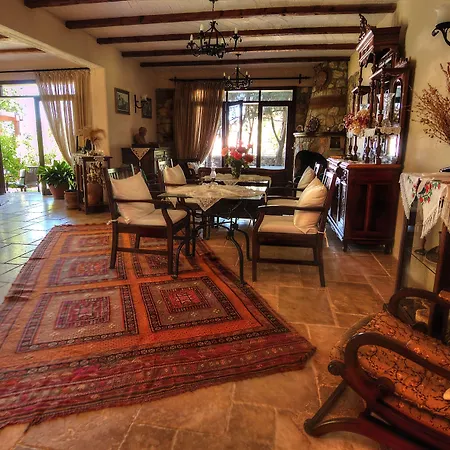 Hotel Mandarin & Mango Boutique