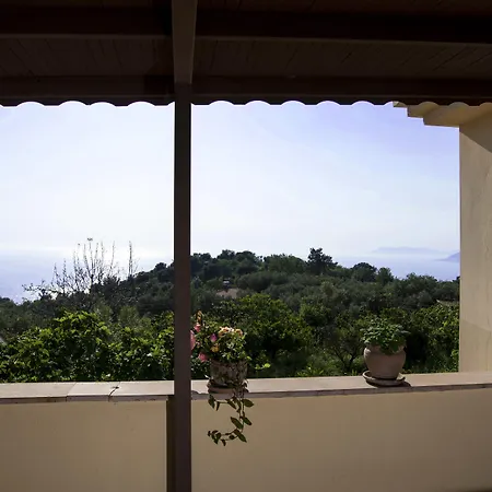 Mandarin & Mango Boutique