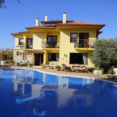 Hotel Mandarin & Mango Boutique 3*