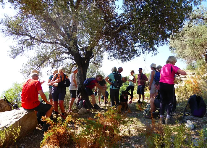 Mandarin & Mango Boutique 3*