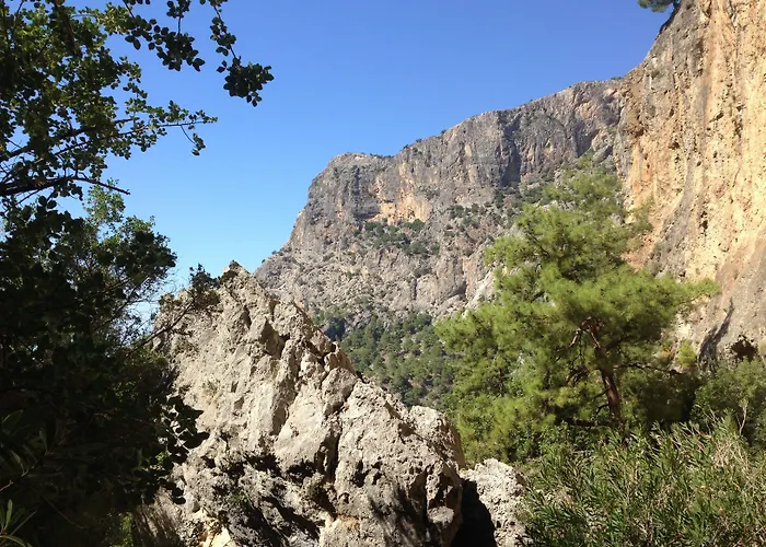 Mandarin & Mango Boutique