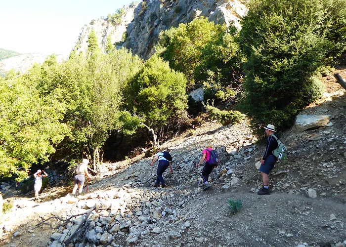 Mandarin & Mango Boutique