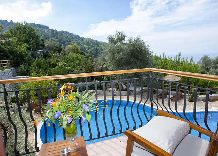 Отель Mandarin & Mango Boutique 3*