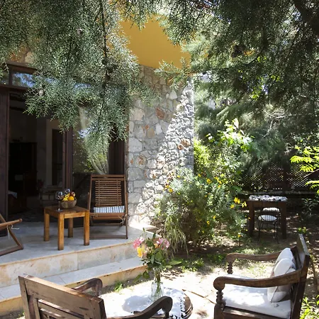 Mandarin & Mango Boutique Hotell 3*