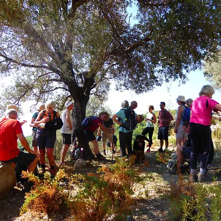 橘子和芒果精品酒店 3*