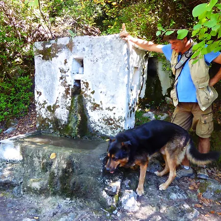 橘子和芒果精品酒店 3*
