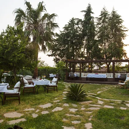 Mandarin & Mango Boutique Hotel Faralya