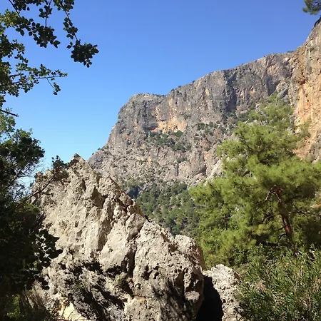 Mandarin & Mango Boutique