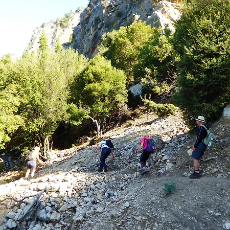 橘子和芒果精品酒店