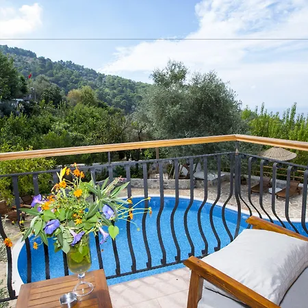 Ξενοδοχείο Mandarin & Mango Boutique 3*
