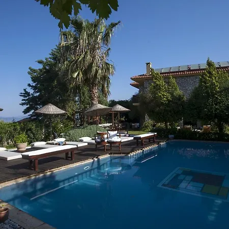 Hotel Mandarin & Mango Boutique 3*