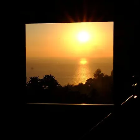 Mandarin & Mango Boutique