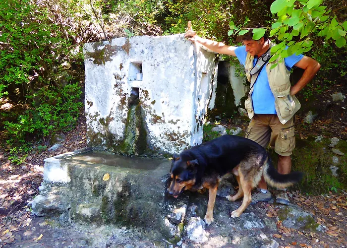 Mandarin & Mango Boutique 3*